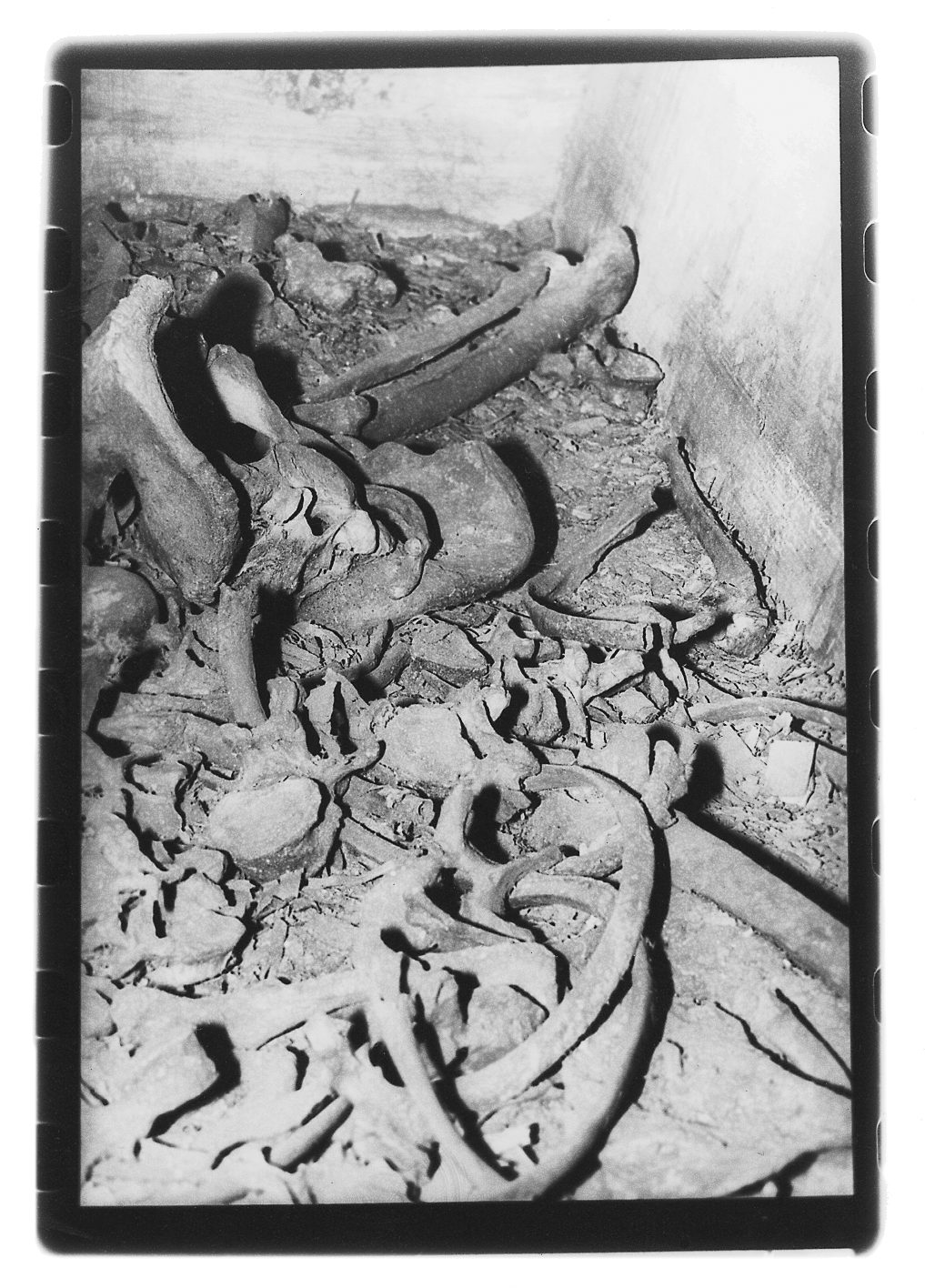 Photograph by Jürgen Baldiga from the official archive (baldiga 039)