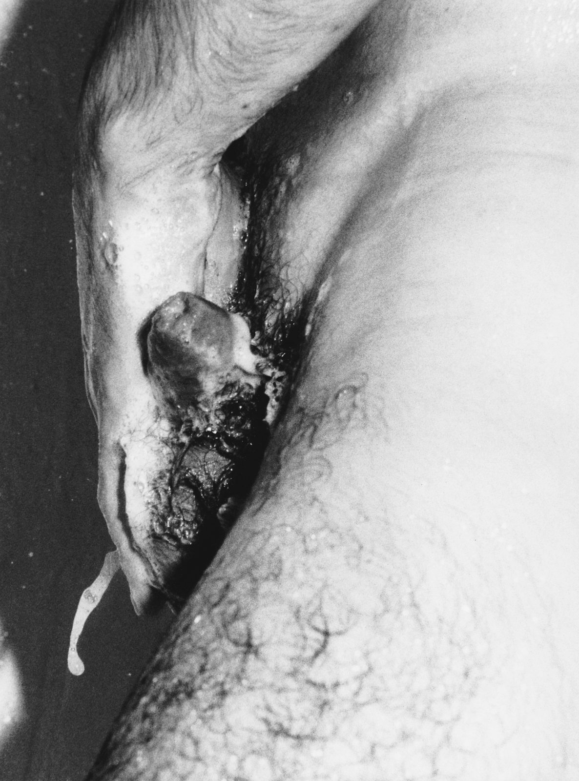 Photograph by Jürgen Baldiga from the official archive (baldiga 133)